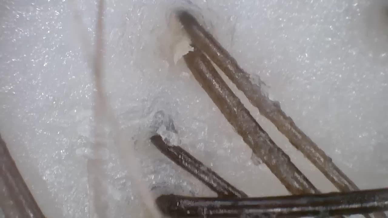 脂性肌の頭皮の状態を示す写真